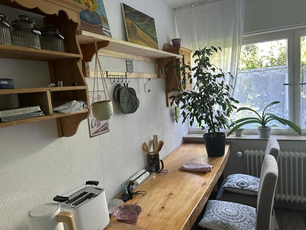 Ferienwohnung An Der Loipe Lichtenstein  Kültér fotó